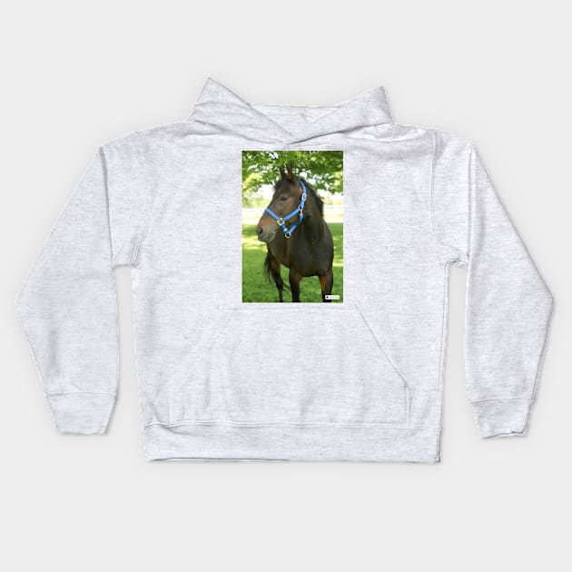 Patrick Kids Hoodie by SunshineHorses